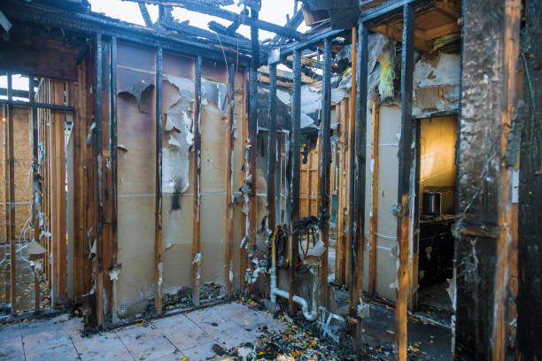 Professional Fire Damage Removal technician working in Dickerson, MD